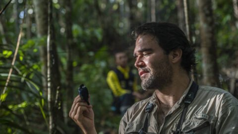 De refém das FARC a biólogo: Diego Calderón reúne ex-guerrilheiros para observar aves
