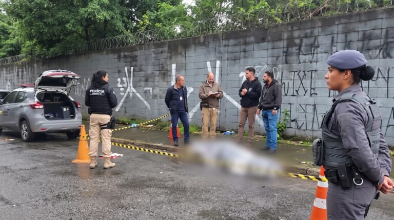 Diretora do DHPP descarta atuação de serial killer em São Paulo e afirma que boatos nas redes sociais causam medo e confusão