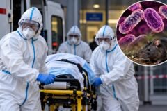 Investigação na Rússia aponta morte de pesquisadora após acidente biológico e forte suspeita de peste na Sibéria