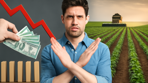 Do endividamento à imagem ruim: os principais desafios e gargalos que o agronegócio quer ver resolvidos pelo próximo presidente