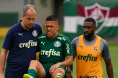 situação departamento médico palmeiras: Roque lesionado e Freitas retorna para decisão contra o Fluminense