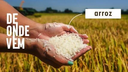 Faz diferença lavar o arroz antes de cozinhar? Descubra o que a ciência revela sobre textura, arsênico e microplásticos nos grãos